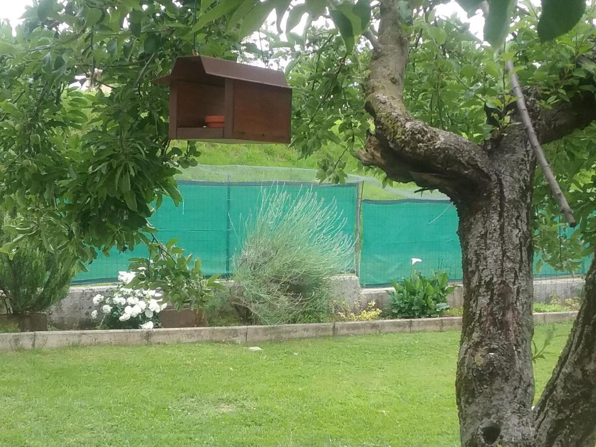 B&B Cuore San Daniele del Friuli Exteriör bild